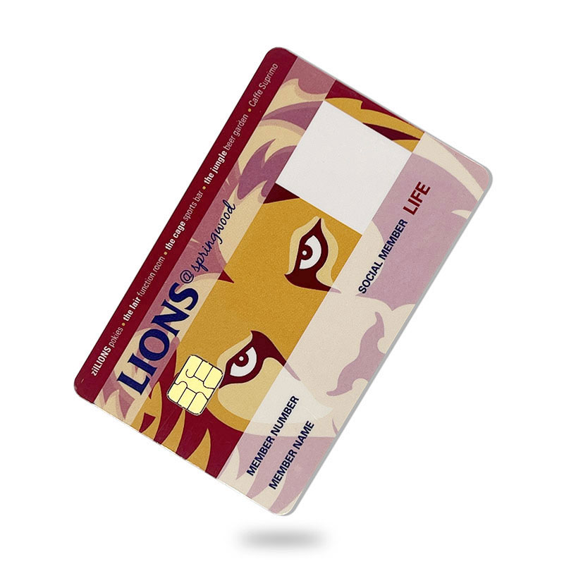 Contact IC Smart Chip Card Carta in PVC